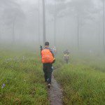 travel in the rainy season