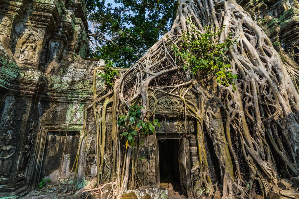 Ta Prohm Temple