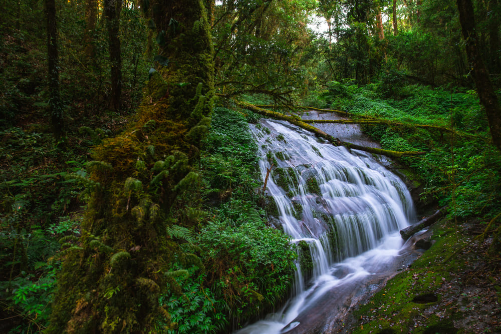 Mae Pan Waterfall in Kew Mae Pan Nature Trail