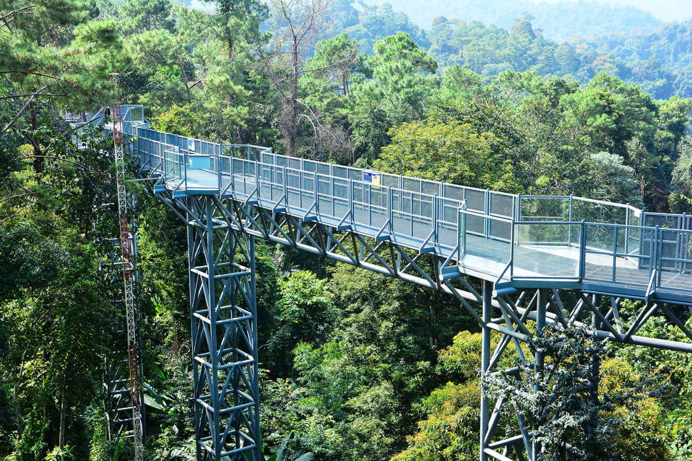 Canopy Walkway at Queen Sirikit Botanical Garden