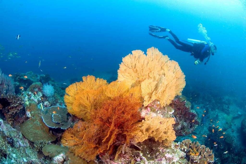 Similan Islands