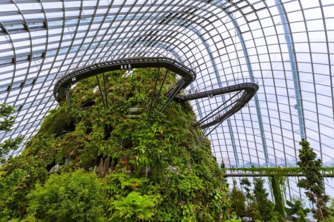 Cloud Forest Singapore