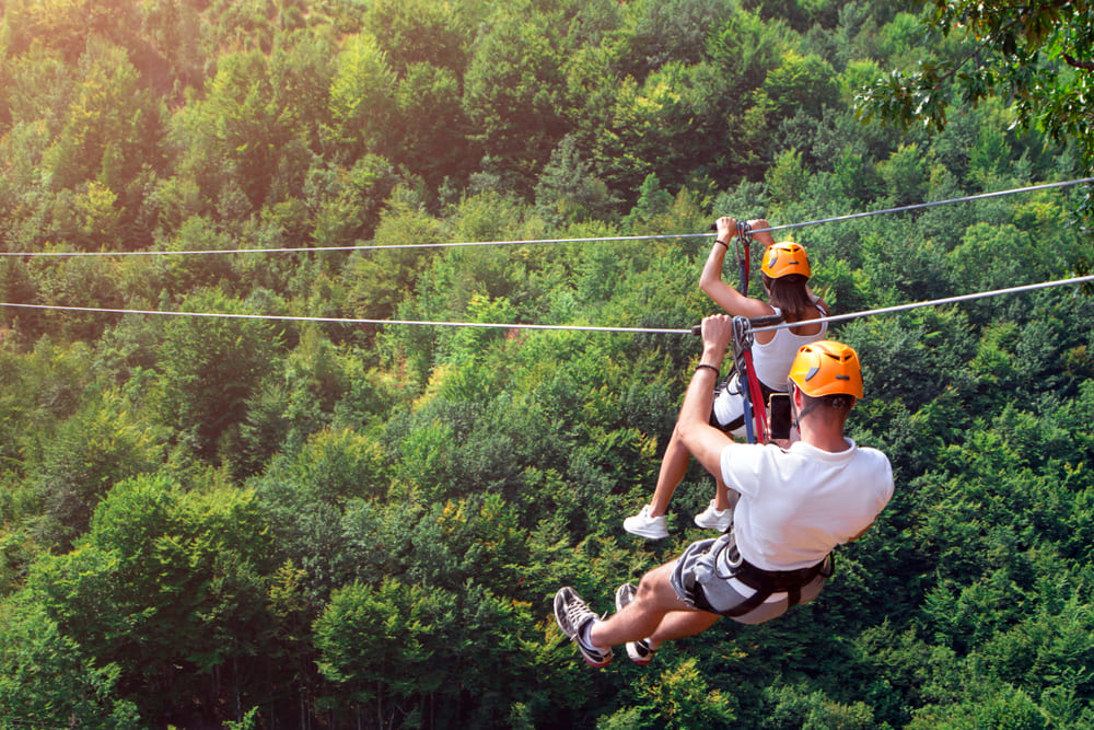 Ziplining through Forest