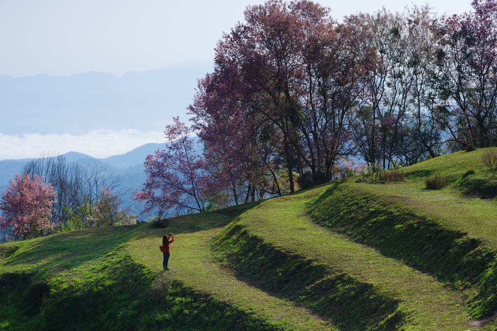 นักท่องเที่ยวยืนถ่ายรูปที่ดอยแม่ตะมาน ที่เที่ยวเชียงใหม่