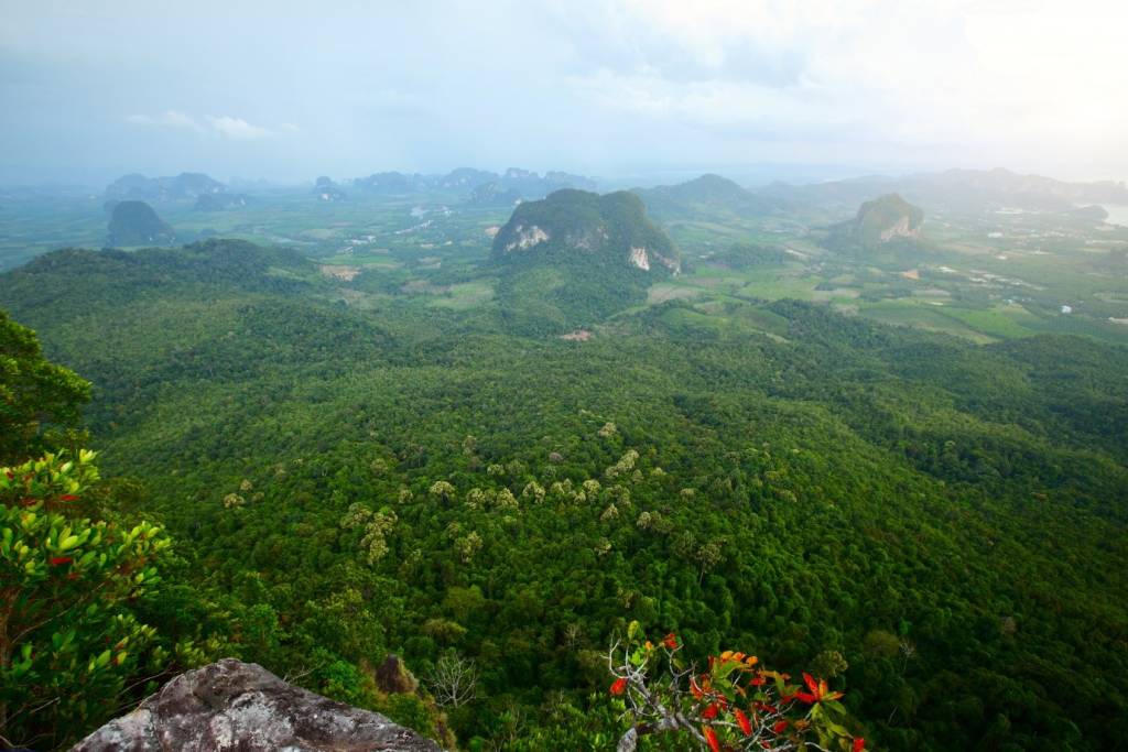 Krabi Thailand