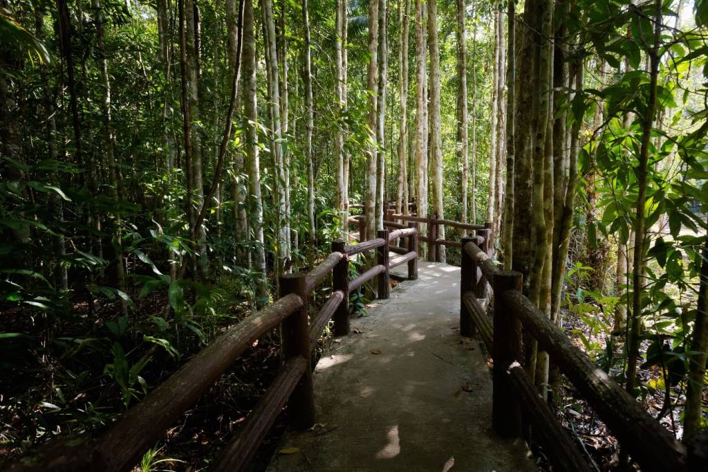 Krabi Thailand