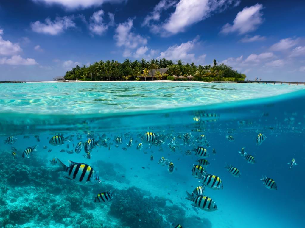 Things To Do in Maldives: Top Attractions and Male Activities to Try 2020