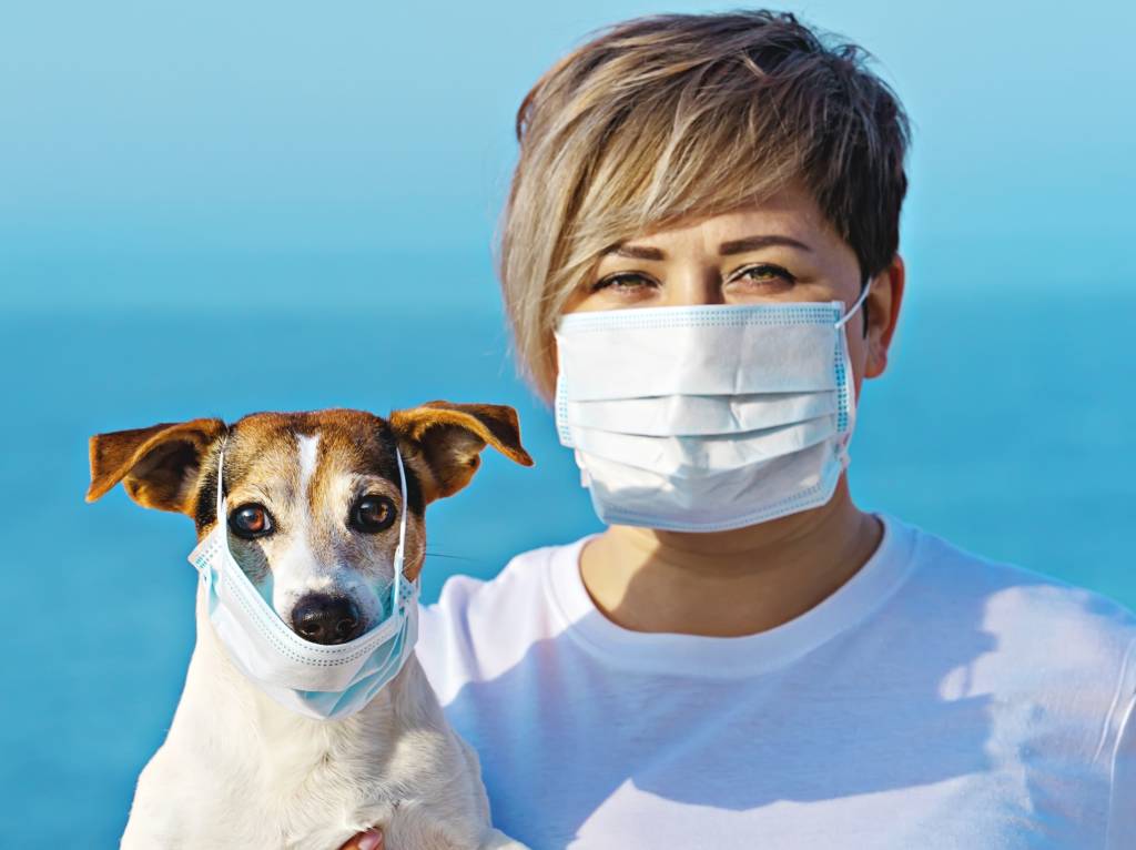 How wearing a face mask protect you from coronavirus while traveling?