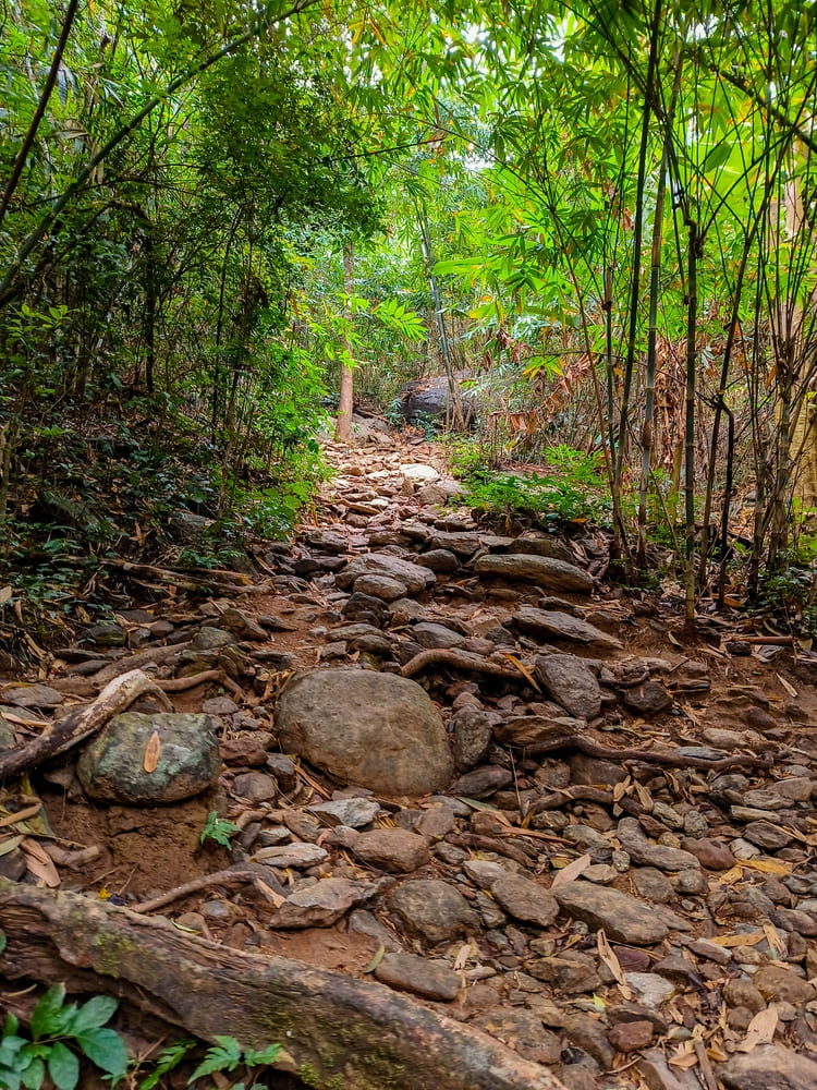 เส้นทางขึ้นเขาหลวง สุโขทัย