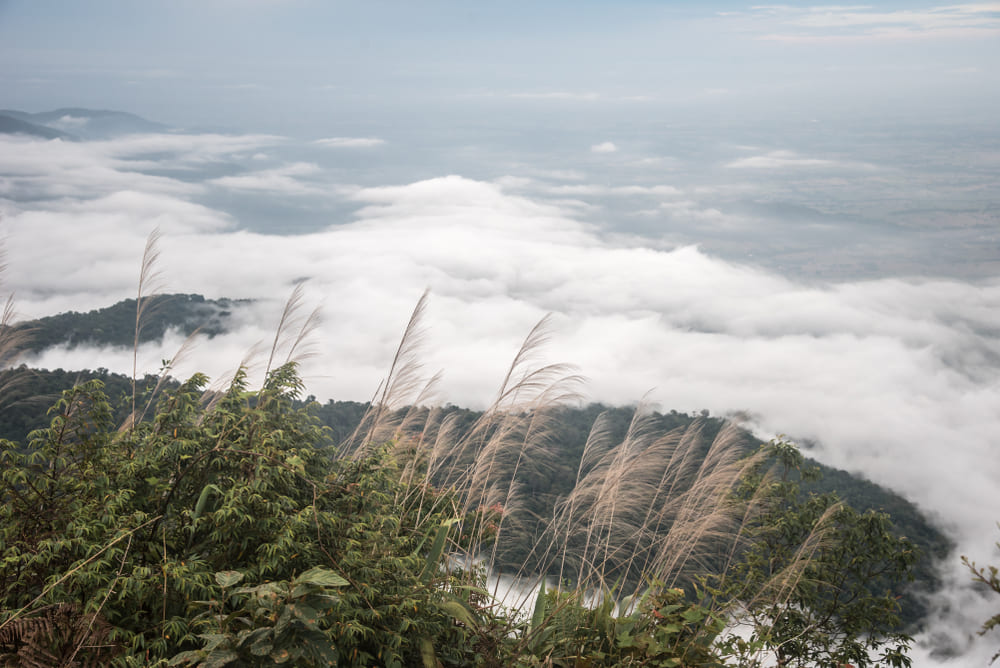 ทะเลหมอก เขาหลวง สุโขทัย