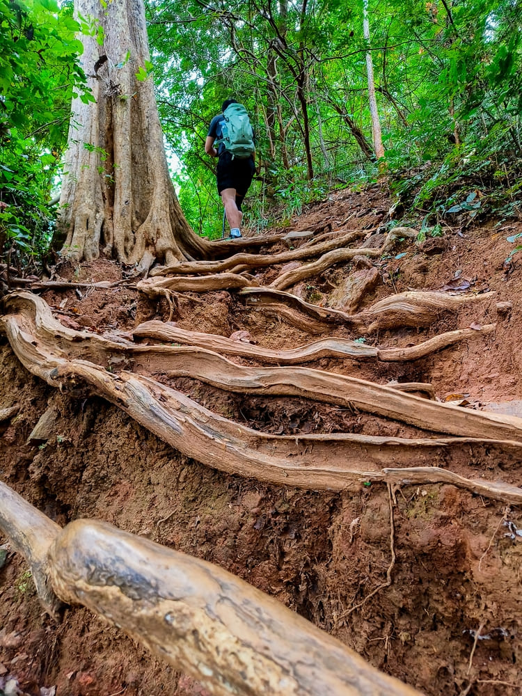 เดินป่าขึ้นเขาหลวง สุโขทัย