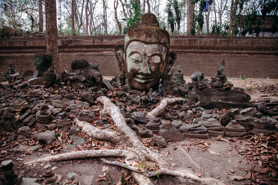 Wat Umong Chiang Mai 16