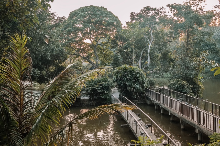 Wat Umong Chiang Mai 14