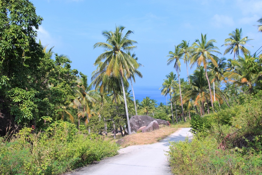 Koh Tao riding with a view