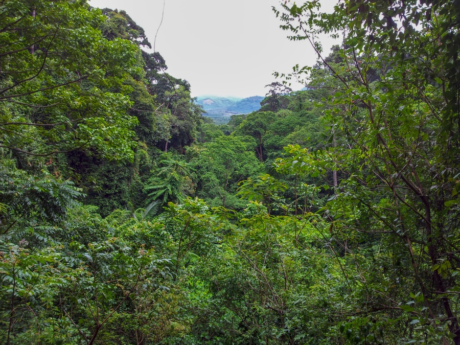 Khao Phanom Bencha National Park Krabi