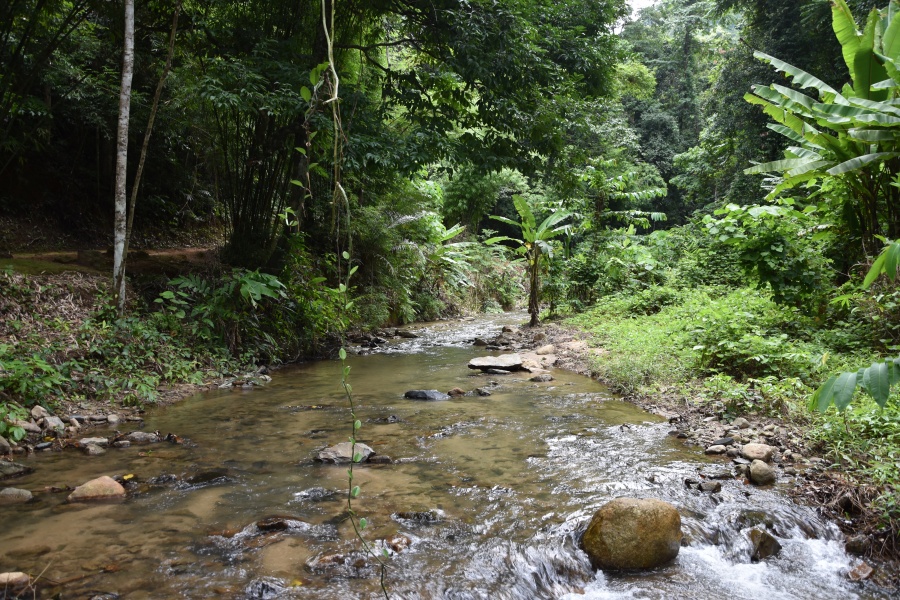 Khao Phanom Bencha National Park Krabi