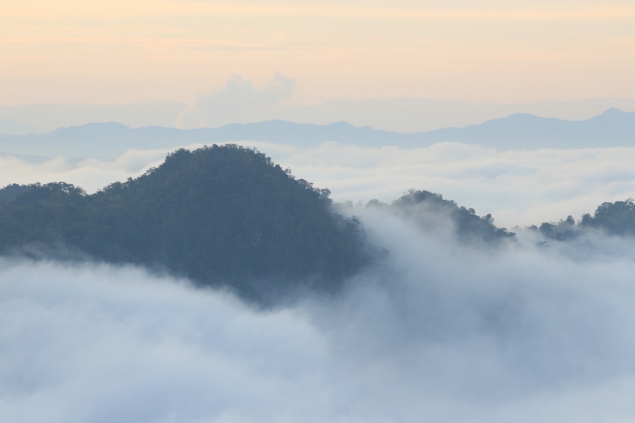 Mist Doi Pha Ngam Lampang Thailand. Look at the picture and cool fresh.  Very Happy.