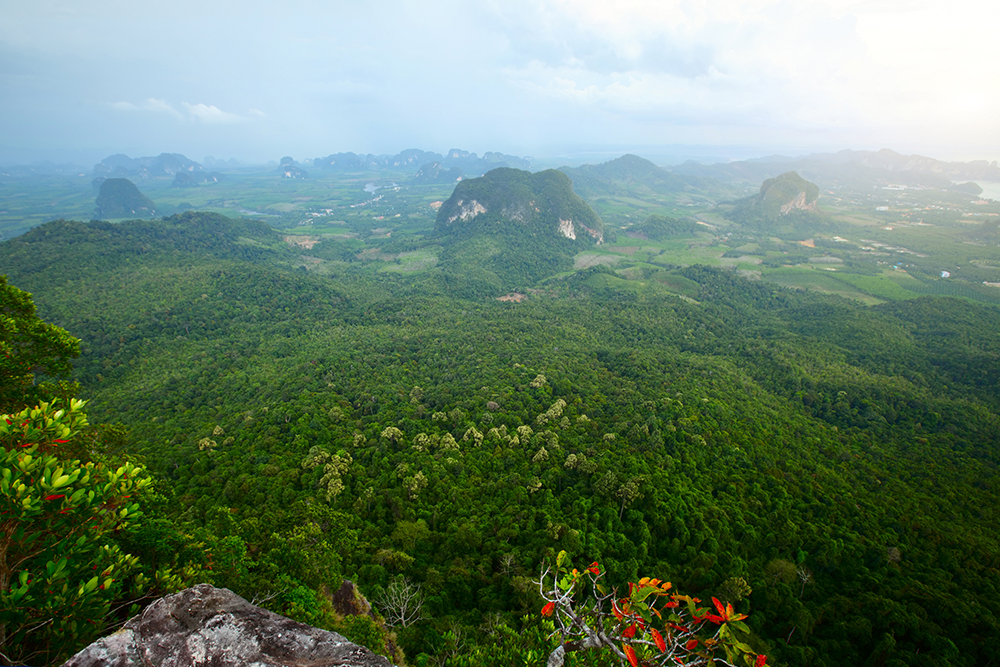 สถานที่ท่องเที่ยวน่าไปช่วงฤดูฝนในประเทศไทย