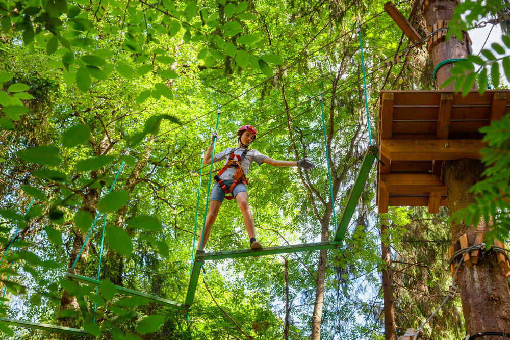 Tree Top Adventure Park