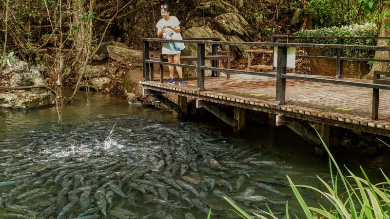 activities Mae Hong Son