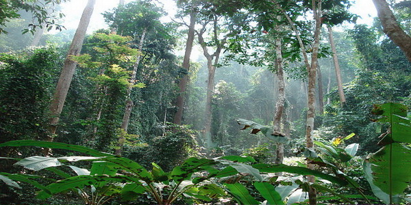 Mae Surin National Park Mae Hong Son