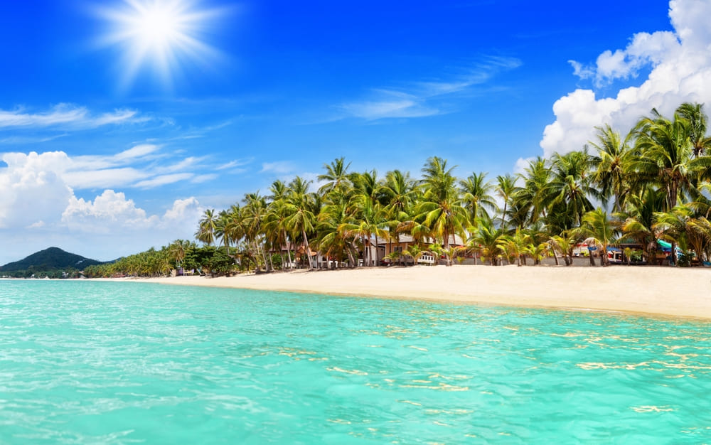 Beach and sea with palm trees at Koh Samui