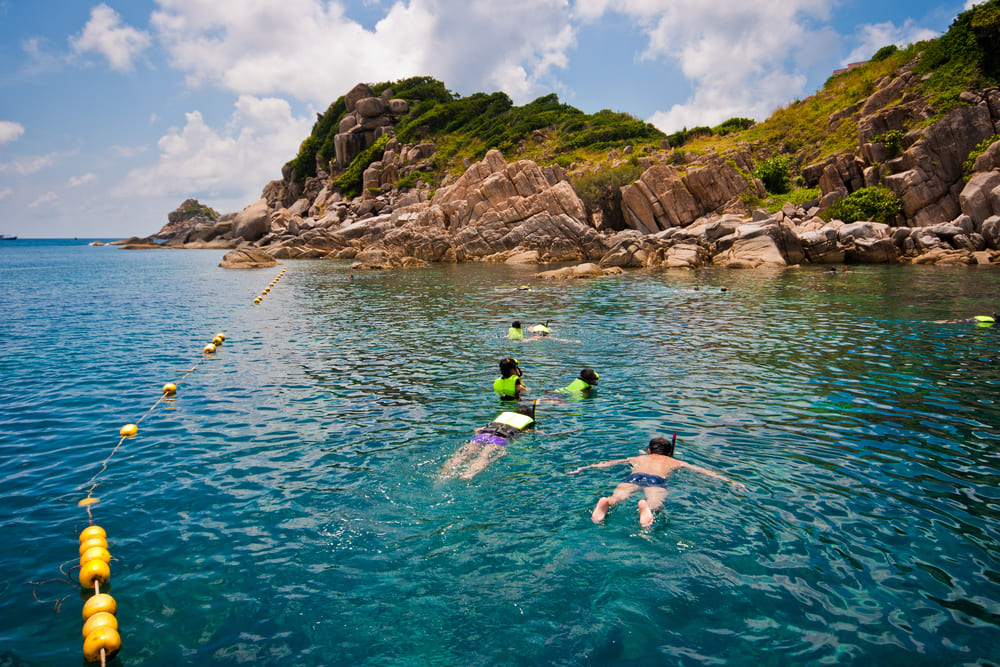 Top Snorkeling and Diving in Koh Samui: Best Spots & Tips