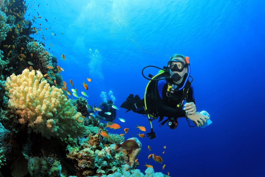 diving in Koh Samui