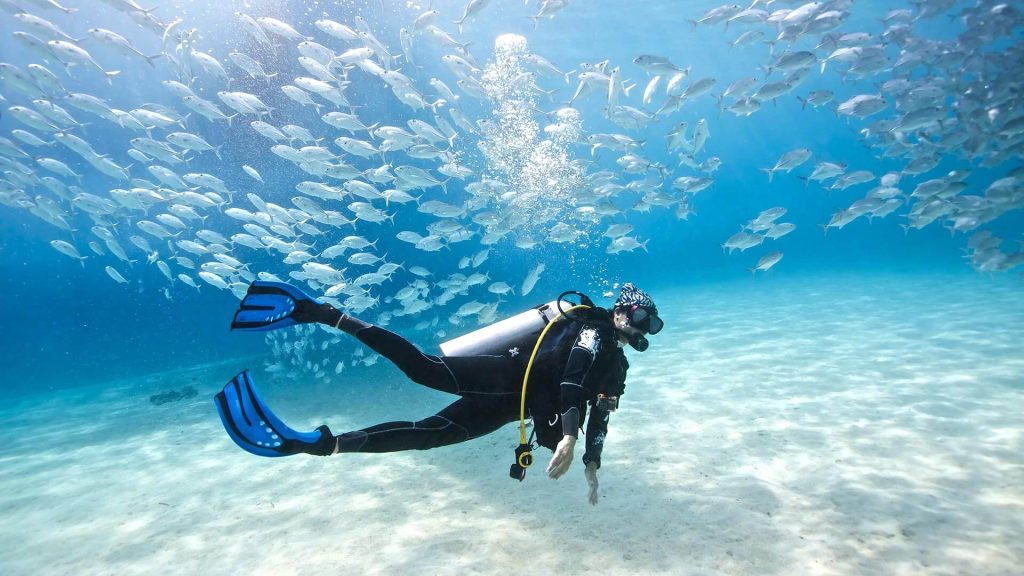 Diving Schools Samui