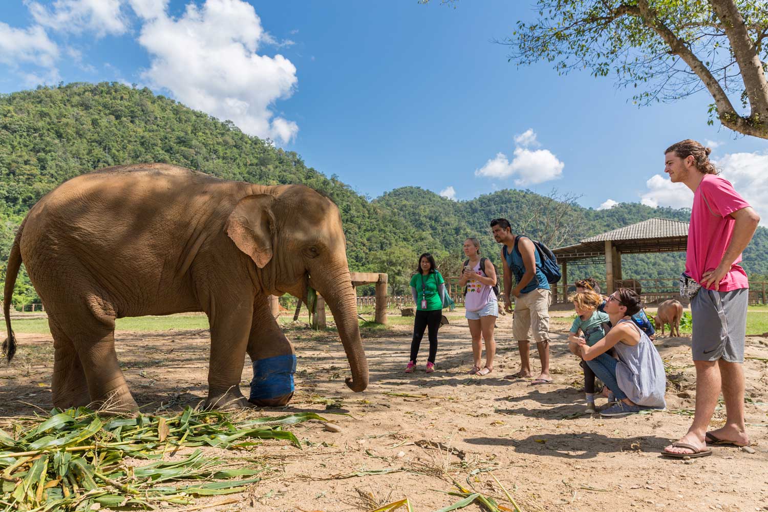 Thailand With Kids The Best Destinations For Families thailand-with-kids-the-best-destinations-for-families