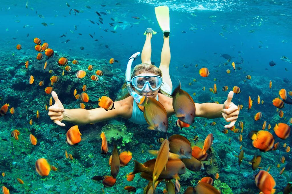 Snorkeling in Koh Samui