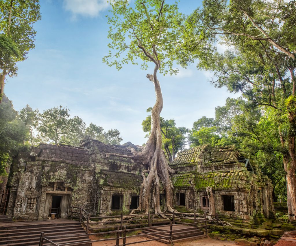 Best Things to do Cambodia