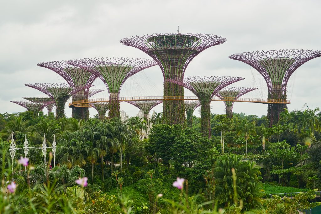 Best Season to travel to Singapore