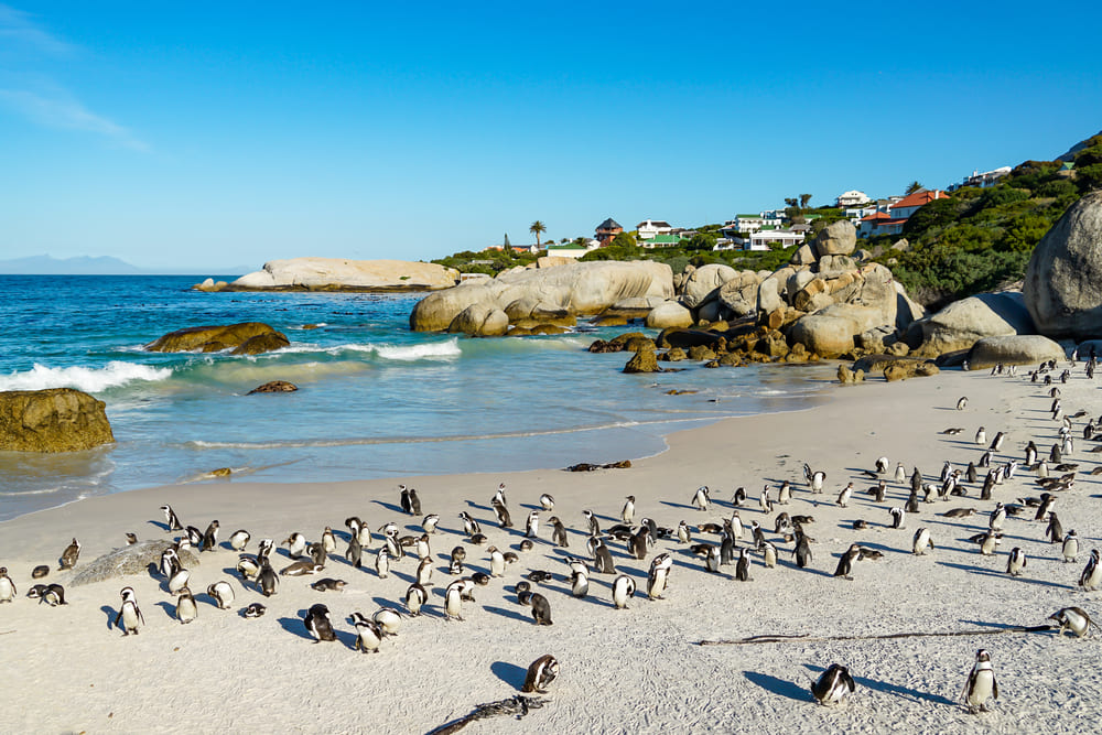 Boulders Beach