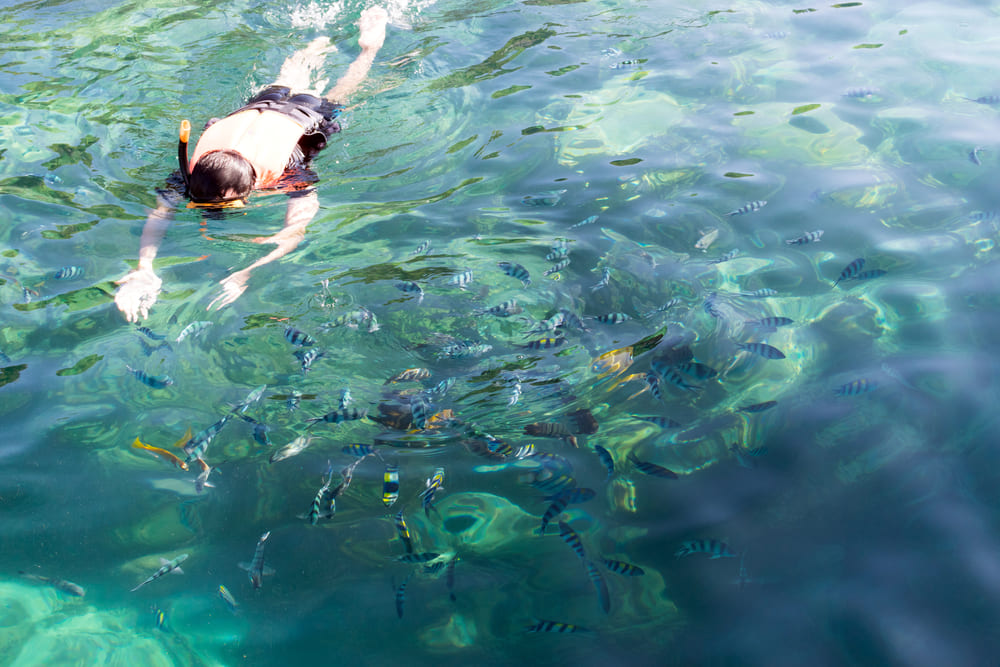 Snorkeling