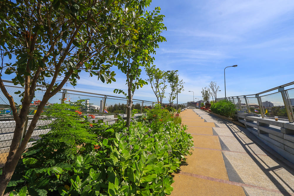 Chao Phaya Sky Park