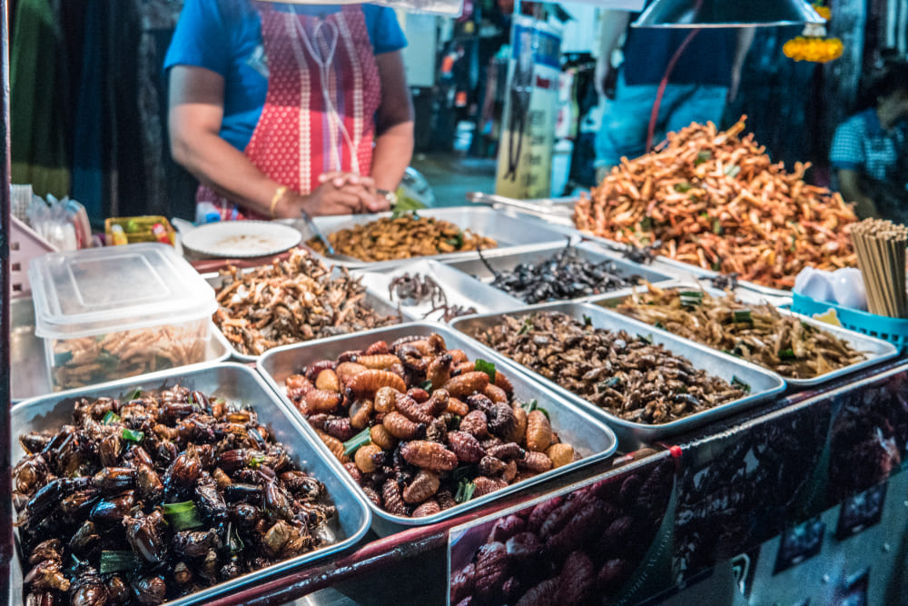 Fried Insects