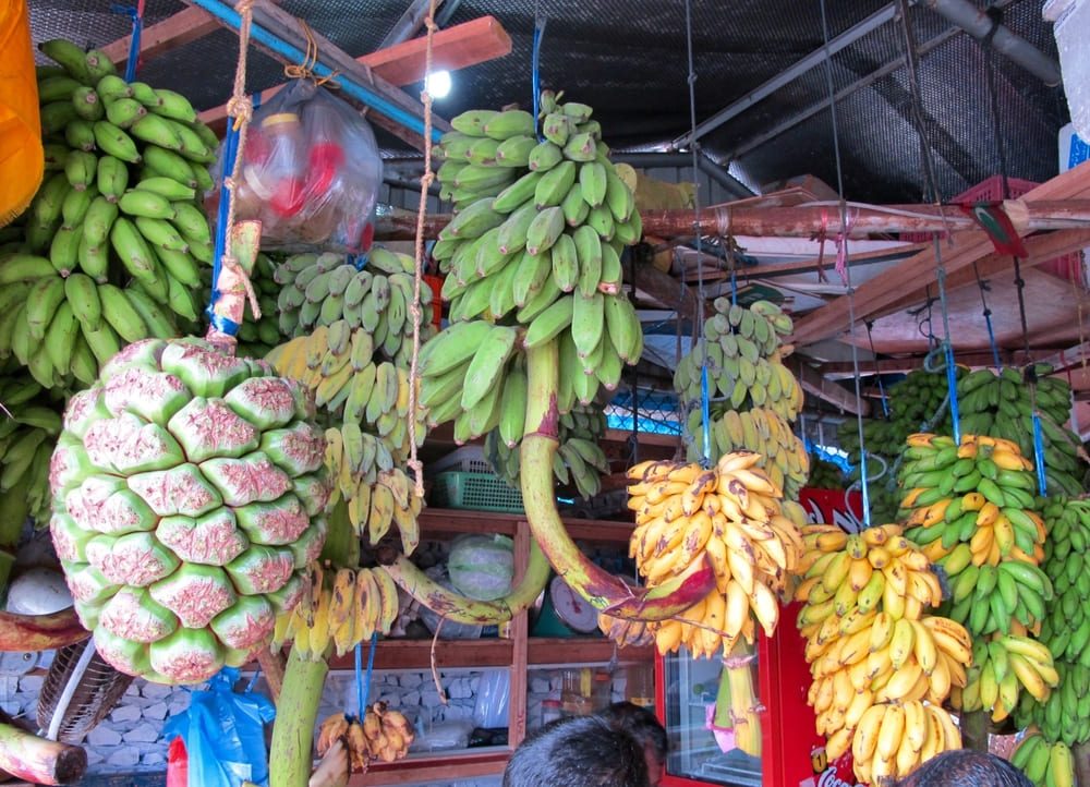 Male Local Market