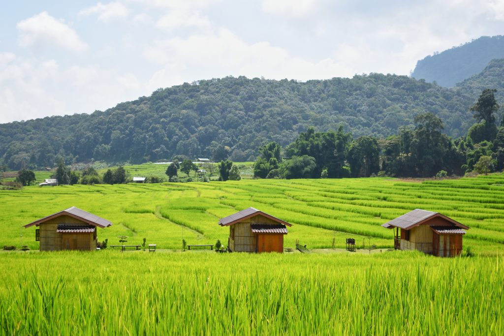 Mae Klang Luang, Chiang Mai