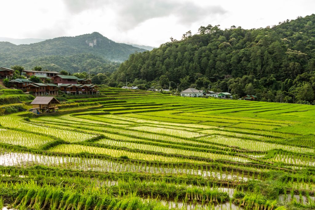 Mae Klang Luang, Chiang Mai