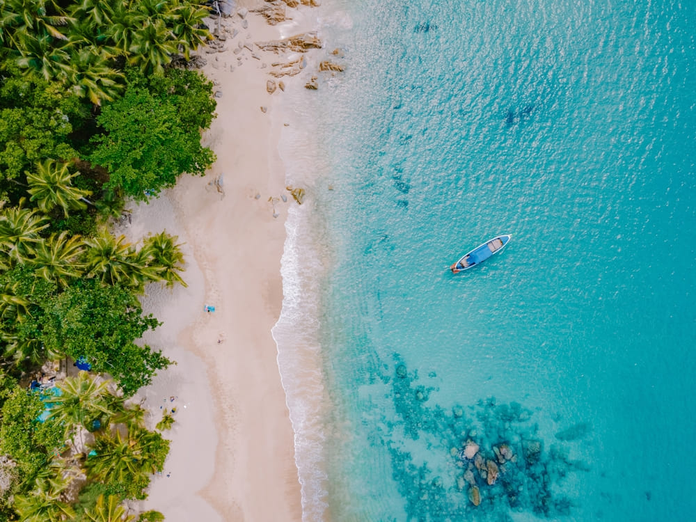 Top view of Banana Beach with rows of trees
