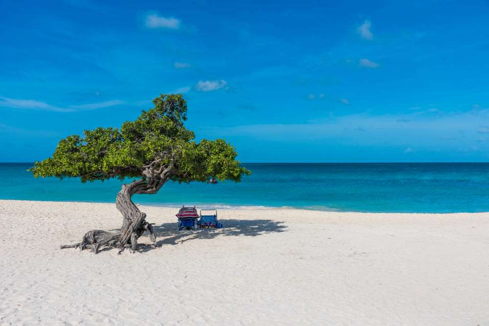 Eagle Beach, Oranjestad, Aruba