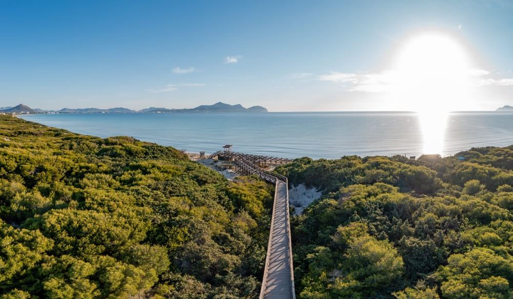 หาดปลายาเดมูโร ประเทศสเปน ชายหาดที่สวยที่สุดอันดับ 8 ของโลก ปี 2025 จาก Tripadvisor