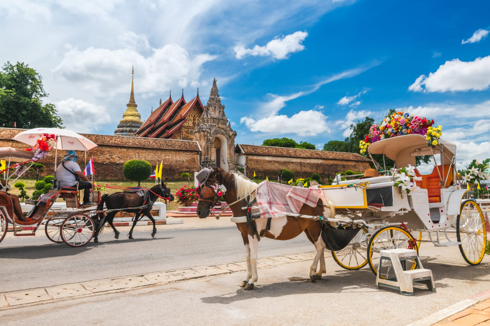 ทริปเที่ยวคนเดียว นั่งรถม้าชมเมืองเก่า จังหวัดลำปาง
