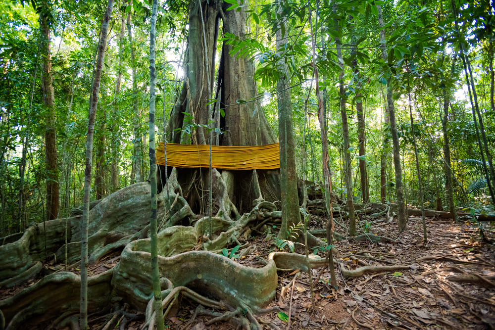 เขาดินแดง ที่เที่ยวเกาะกูด