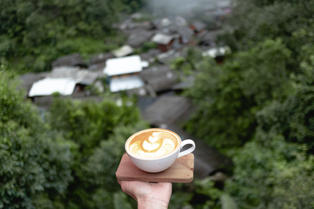 จิบกาแฟที่แม่กำปอง จังหวัดเชียงใหม่
