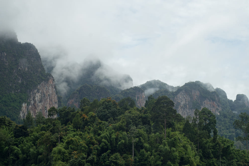 ที่เที่ยวปลายฝนต้นหนาว เขื่อนเชี่ยวหลาน จังหวัดสุราษฎร์ธานี