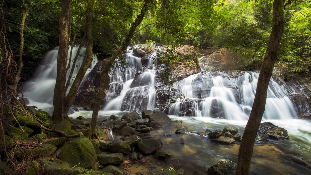 Ton Nga Chang Waterfall, Hatyai