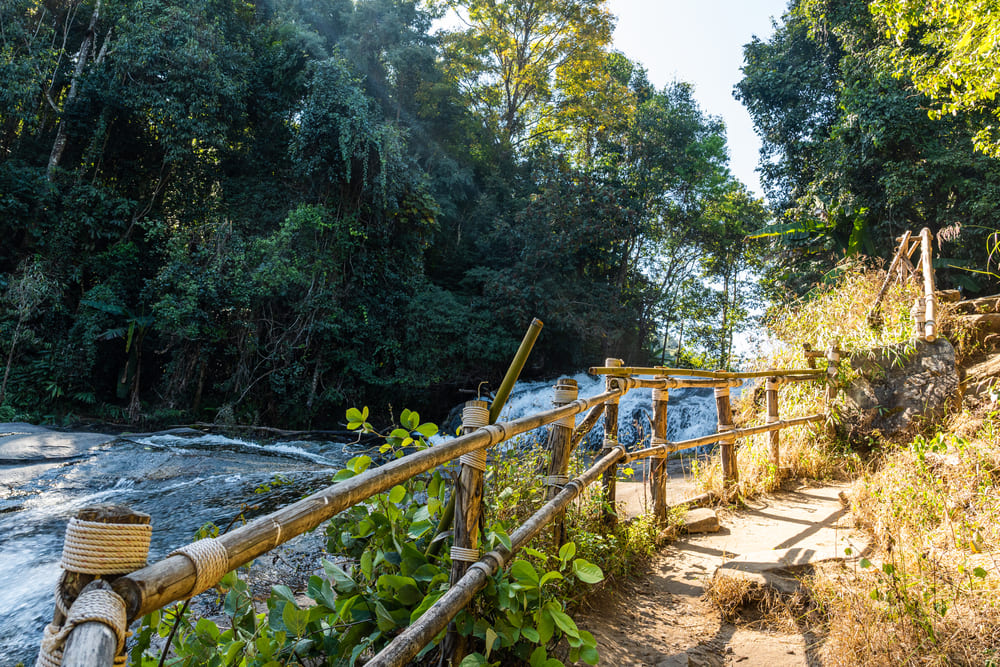 Bamboo fence on Pha Dok Siew Nature Trail in Doi Inthanon