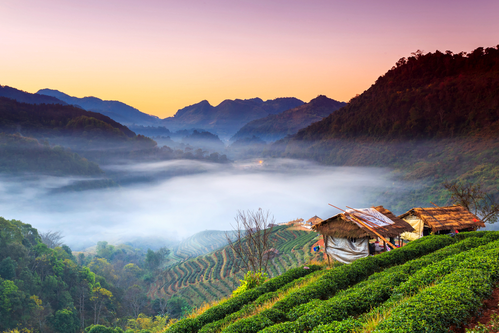 Sunrise and sea of mist at Doi Ang Khang, Chiang Mai